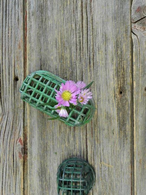 CARNIVAL  5 STEM BUNCH PINK  ASTER